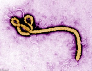 I ebola